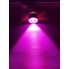 Світлодіодний трековий фітосвітильник SL-4003F 10W 12-24V DC (full spectrum led) білий Код.59581