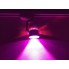 Світлодіодний трековий фітосвітильник SL-4003F 10W 12-24V DC (full spectrum led) білий Код.59581